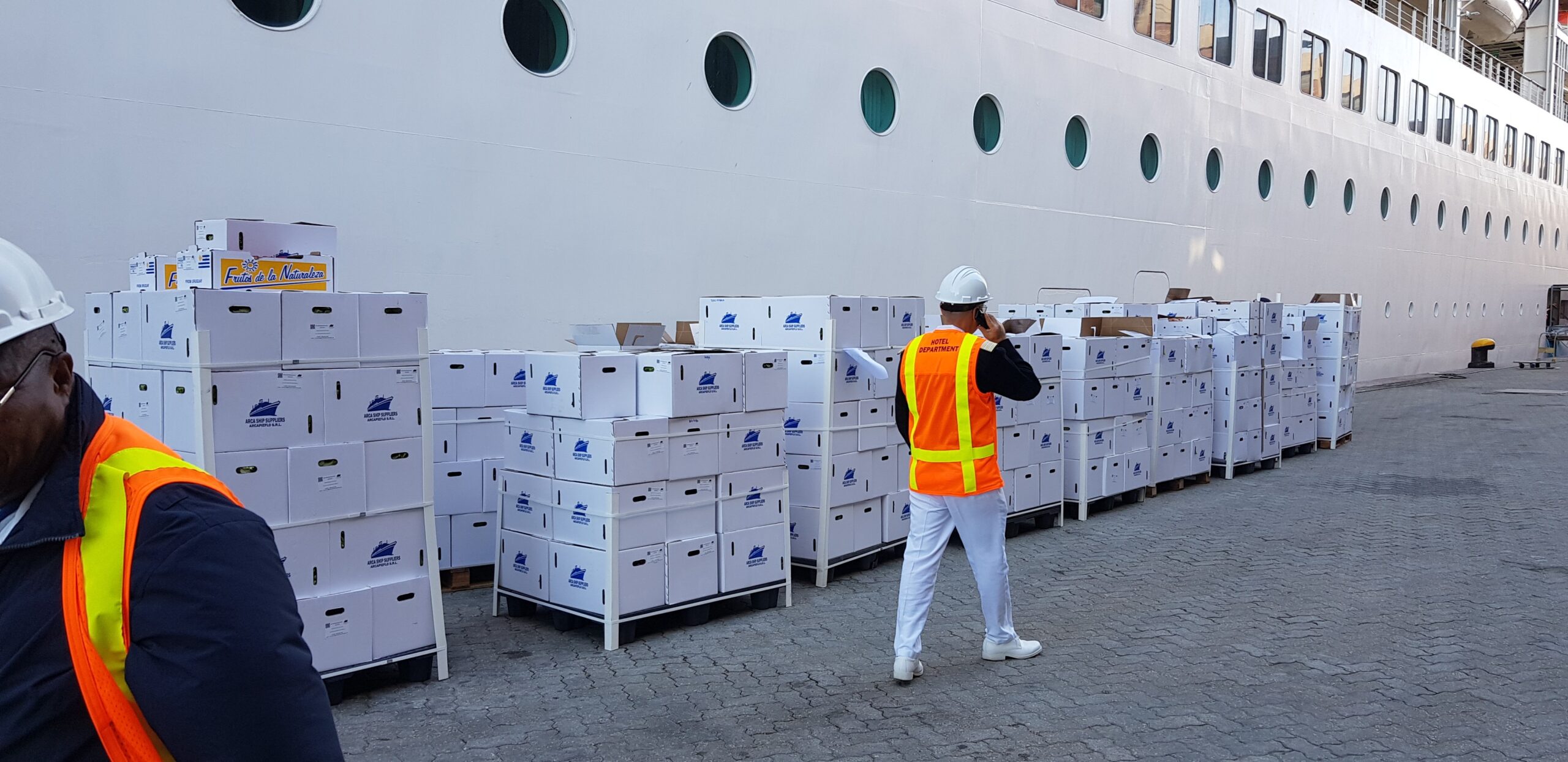 arcapieflo_s_r_l_cover